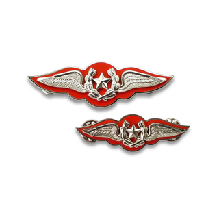 Maker aangepaste metalen zilveren militaire luchtmacht uniform badge pinnen