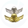 gouden mini gouden militaire politiebadge